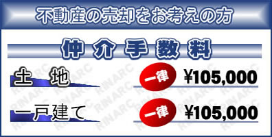 �萔��