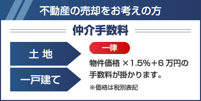 �萔��